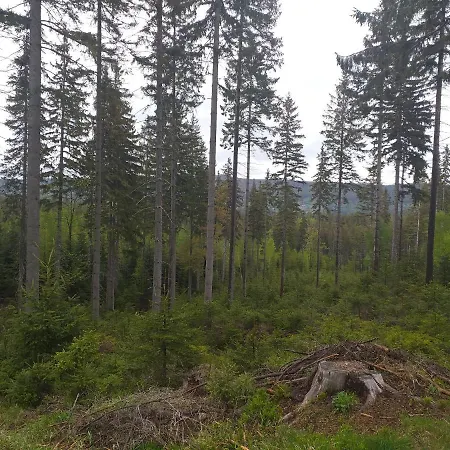Apartament Przy Szlaku Sklářská Poruba Exteriér fotografie
